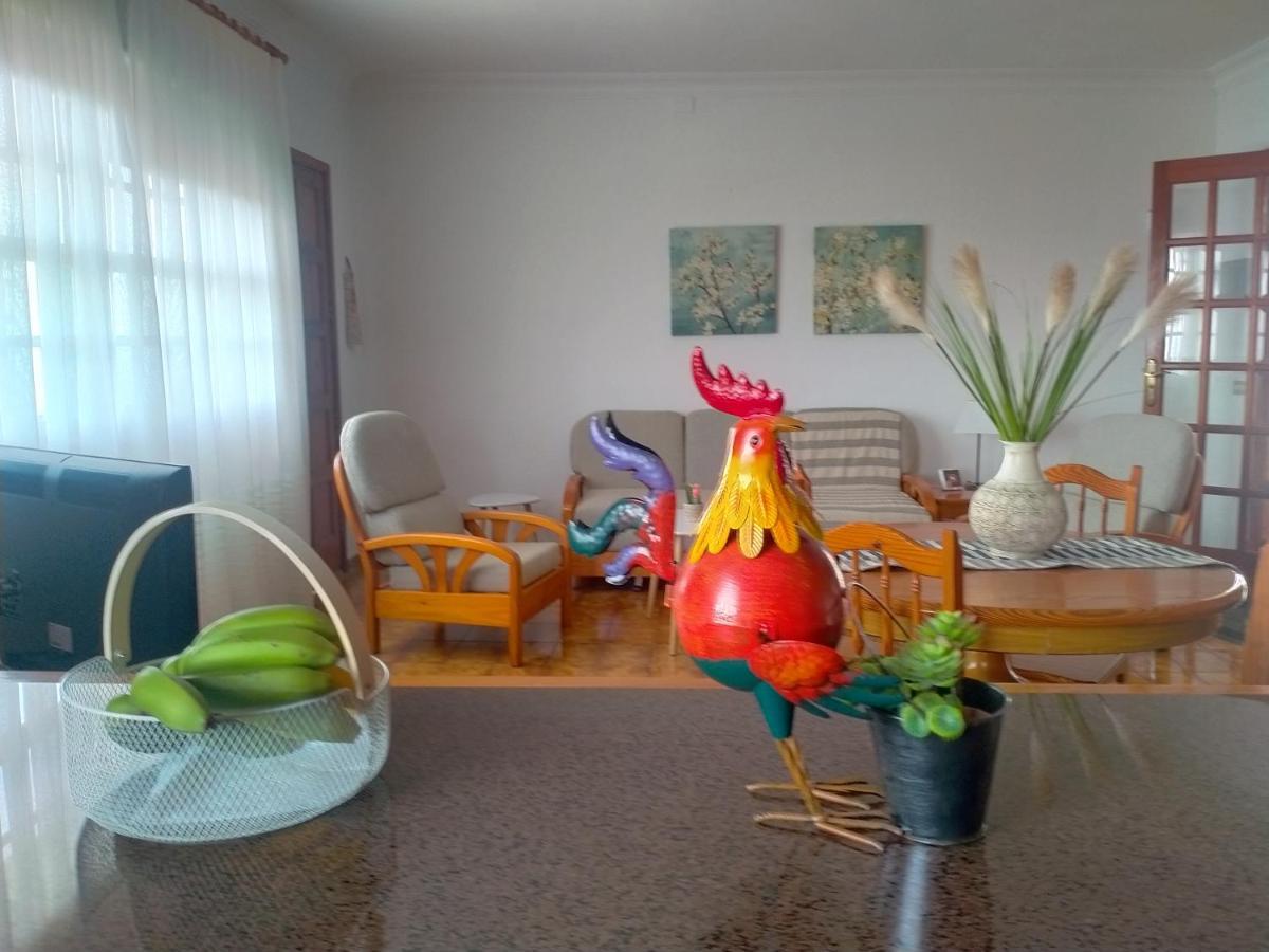 Casa Nine Con Piscina Vacacional La Palma Brena Baja